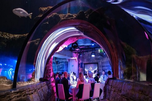 London Aquarium Venue for Hire - Best Venues London