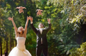 funny-wedding-photos-chickens-throw