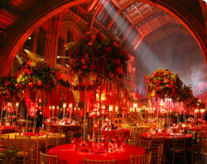 The Natural History Museum Best Venues London