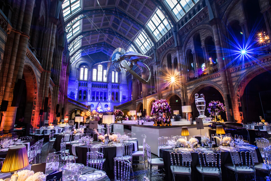 hir hintze hall