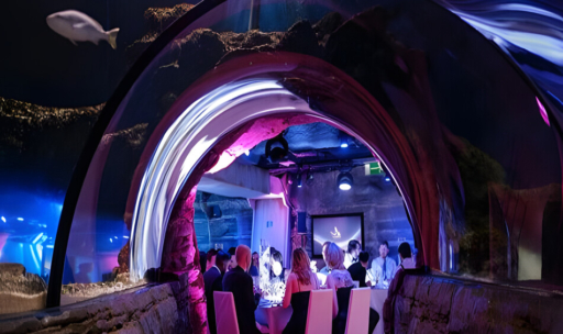 London Aquarium Venue for Hire - Best Venues London