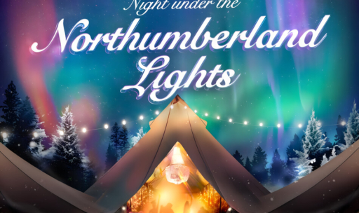 northumberland lights christmas party