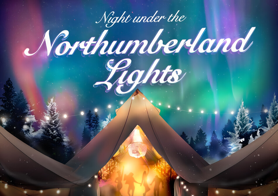 northumberland lights christmas party