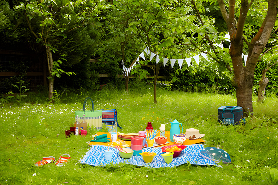 Park Picnic - picnic items on grass