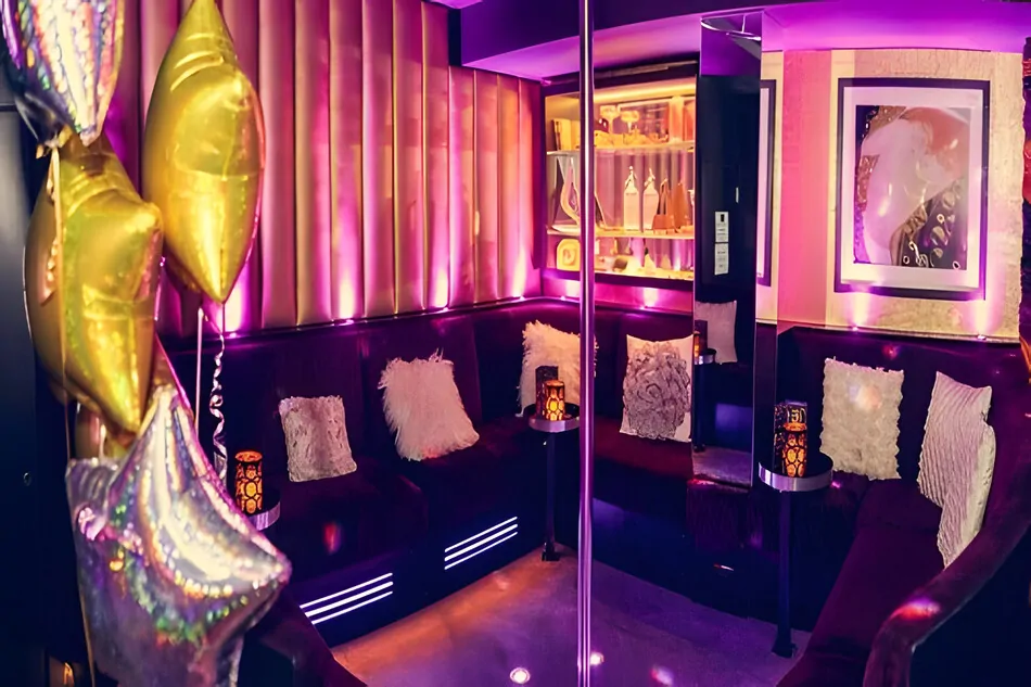 THE DIRECTORS LOUNGE London (4)