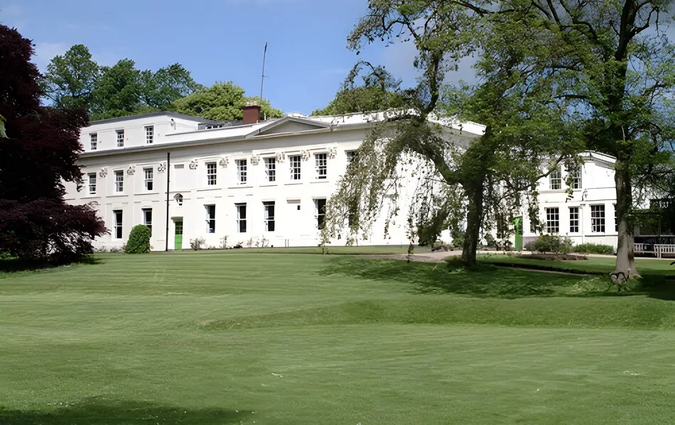 woodlands